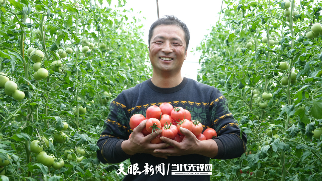 北京·宁夏｜电商让村庄“柿”业旺J9真人游戏第一品牌村里喜事捎(图1)